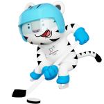 img-soohorang-ice-hockey